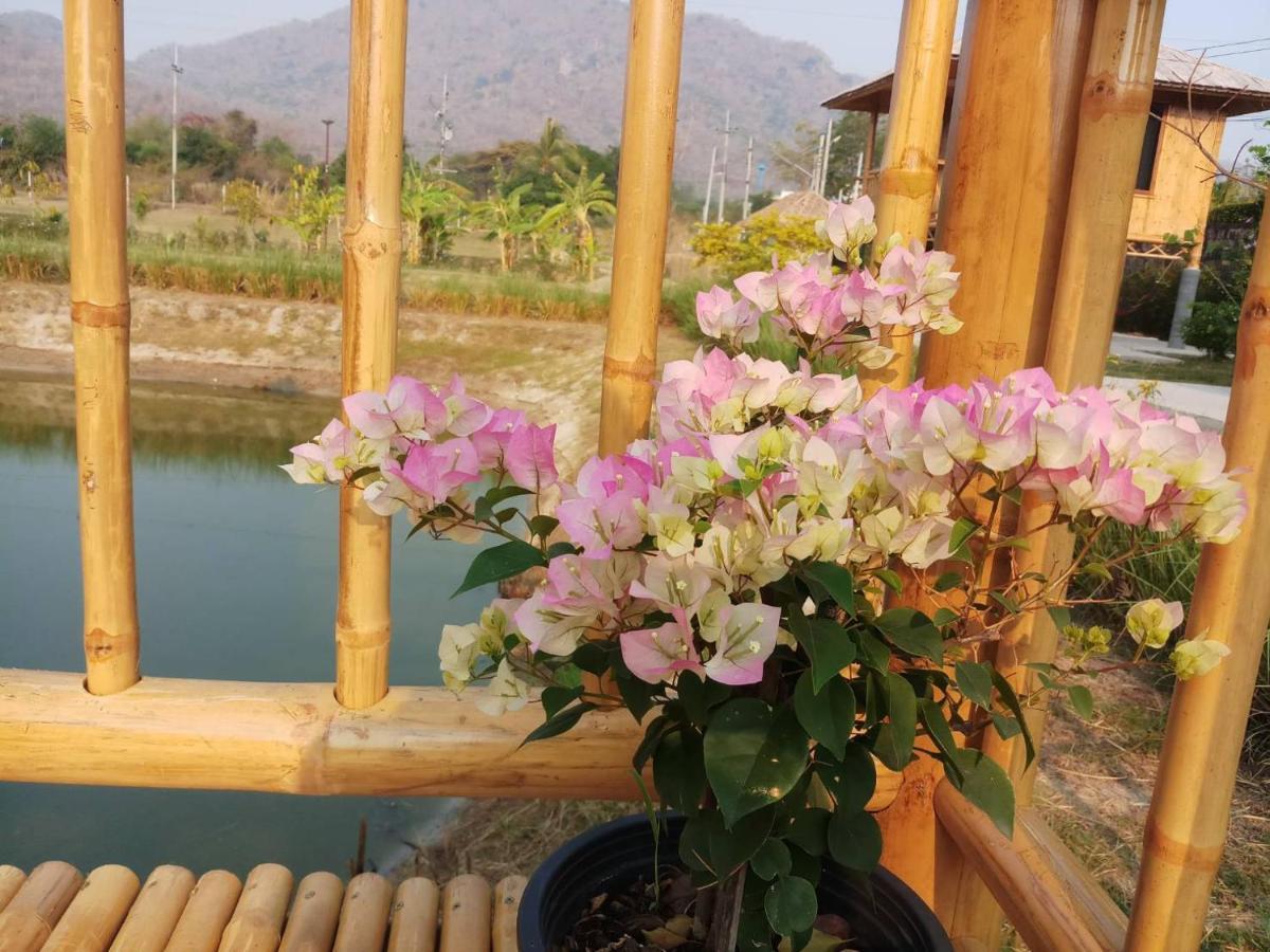 คูณ-เนื่อง ฟาร์ม สเตย์ หัวหิน Koon & Nueang Farm Stay Hua Hin Ban Bo Fai Luaran gambar